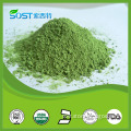 Pure 200 Mesh Organic Barley Grass Powder